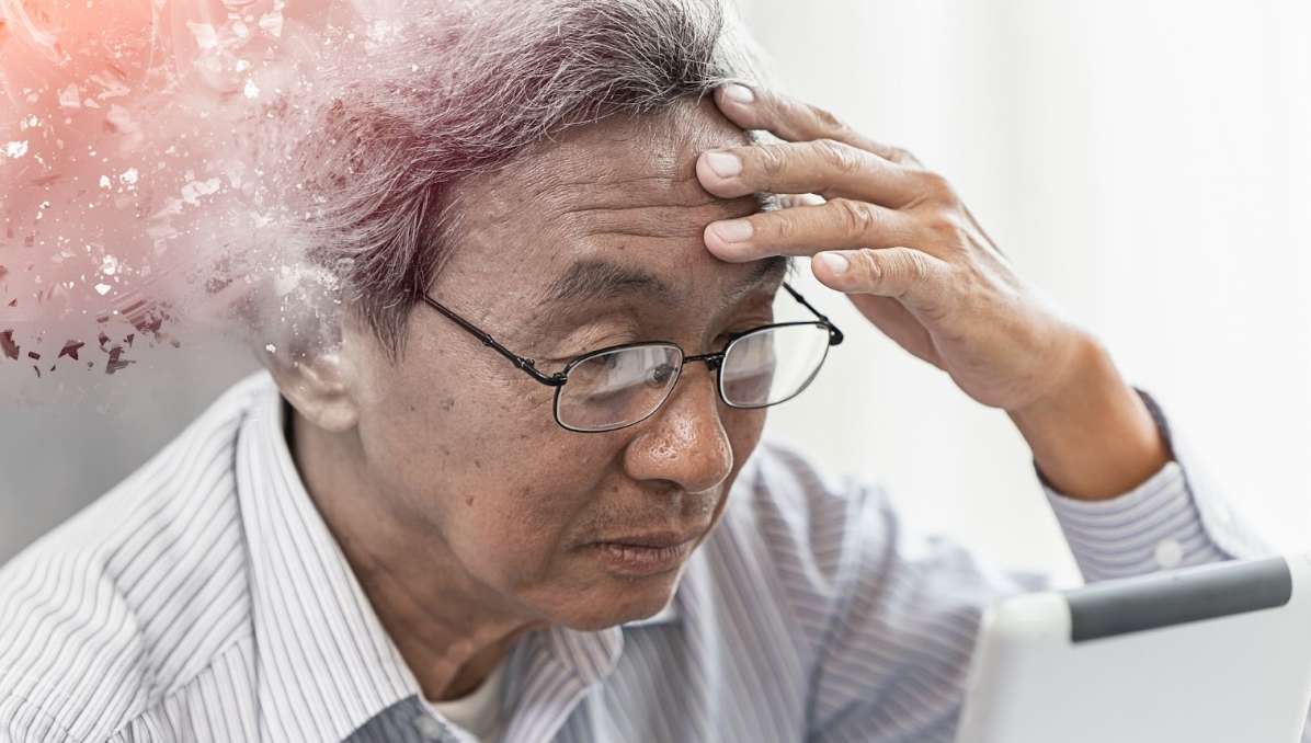 Foods to Prevent Memory Loss