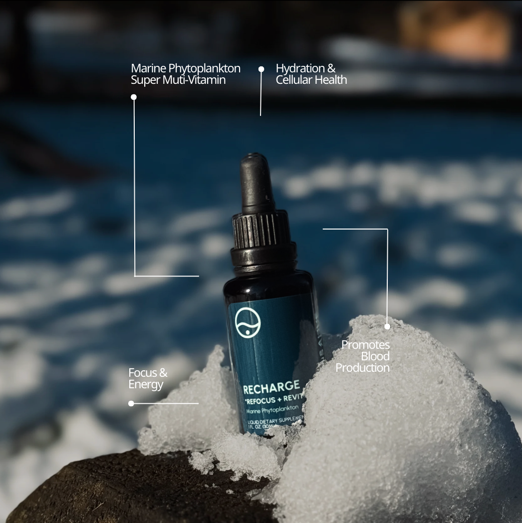 Oceans Alive® RECHARGE - formerly Raw Phytoplankton