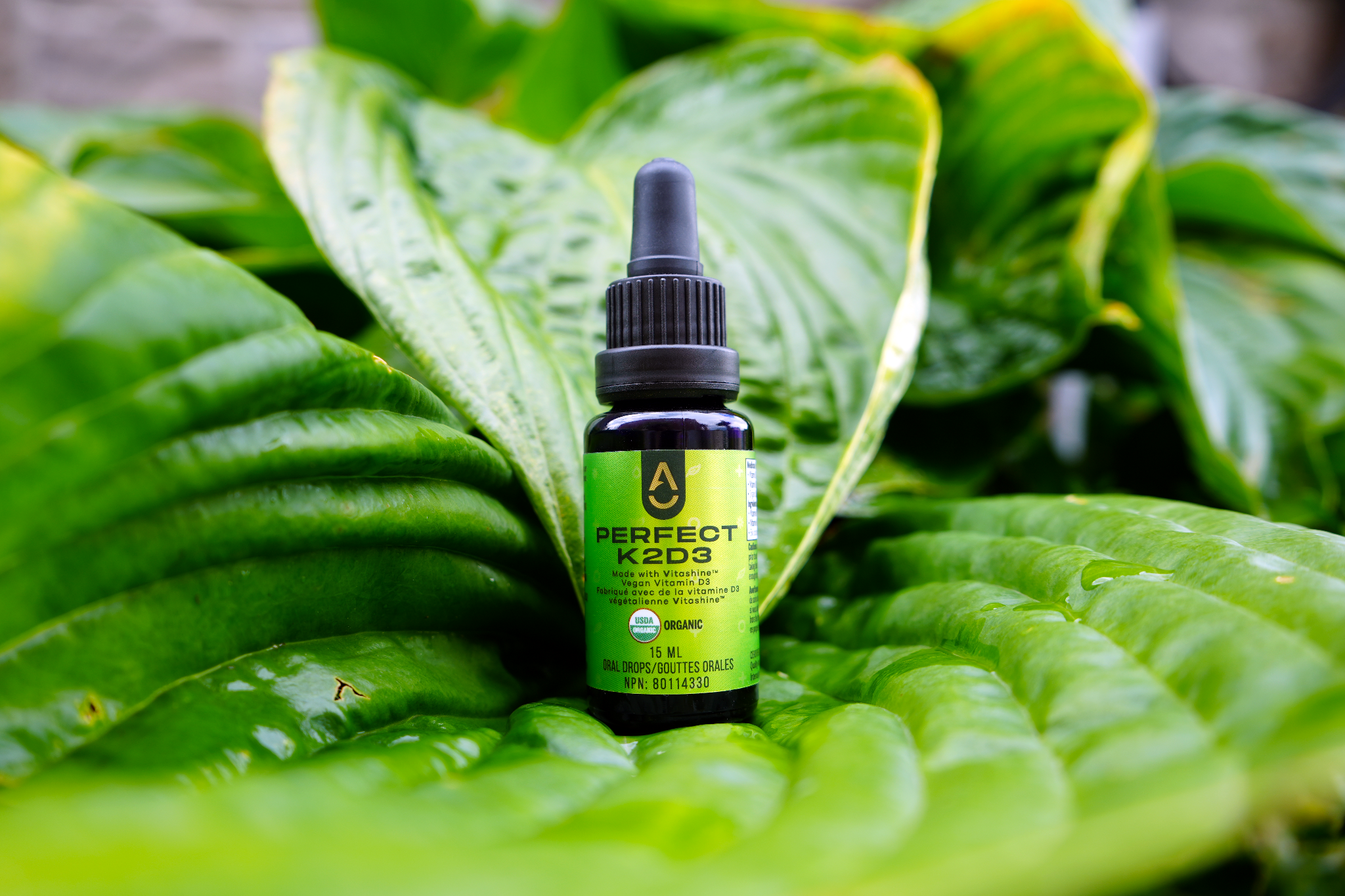 Ancient Acids Unlock the Secret of Uric Acid Balance: The Ancient Solution for Natur ...