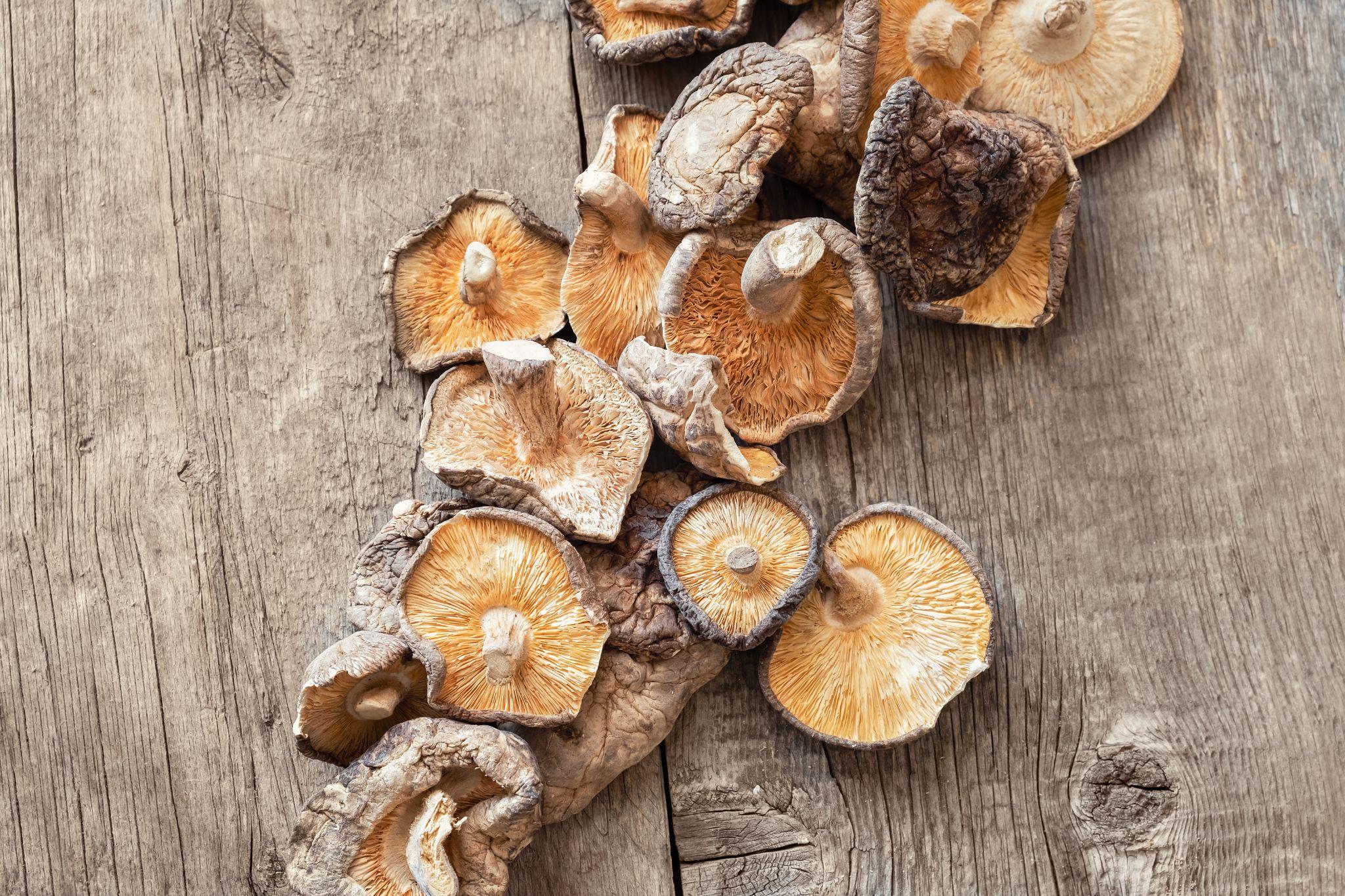 Why These 5 Medicinal Mushrooms Could Be Your Most Powerful Allies For Long-Term Immunity