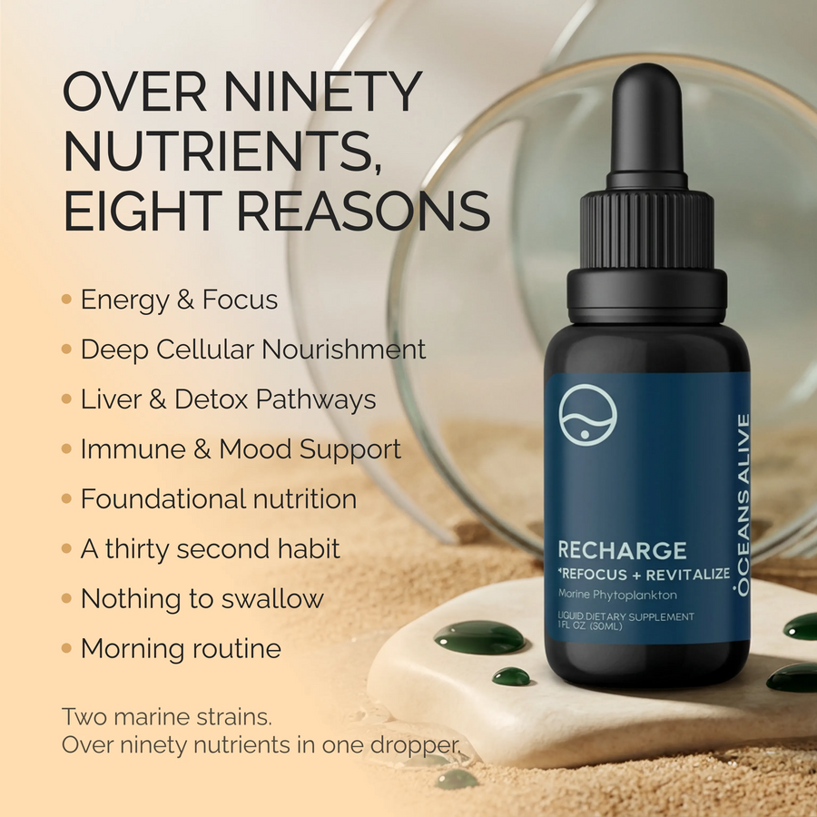 Oceans Alive® RECHARGE - formerly Raw Phytoplankton 🌎