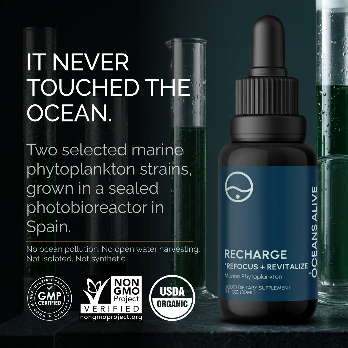 Oceans Alive® RECHARGE - formerly Raw Phytoplankton 🌎