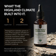 Perfect Immune — Daily Immune Health & Respiratory Support 🌎