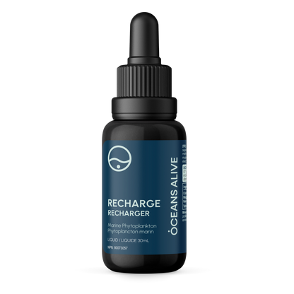 Oceans Alive® RECHARGE - formerly Raw Phytoplankton
