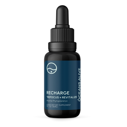 Oceans Alive® RECHARGE - formerly Raw Phytoplankton