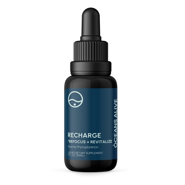 Oceans Alive® RECHARGE - formerly Raw Phytoplankton 🌎