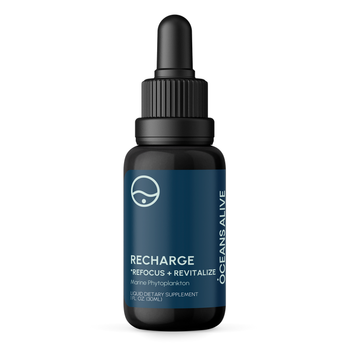 Oceans Alive® RECHARGE - formerly Raw Phytoplankton 🌎