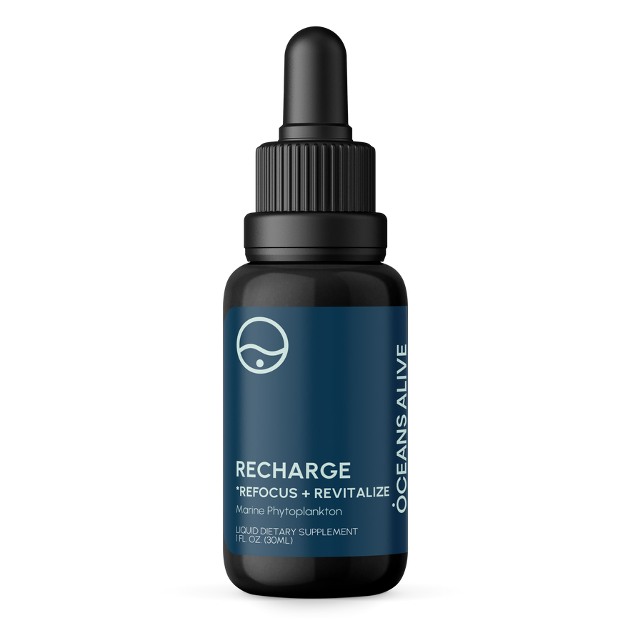Oceans Alive® RECHARGE - formerly Raw Phytoplankton 🌎