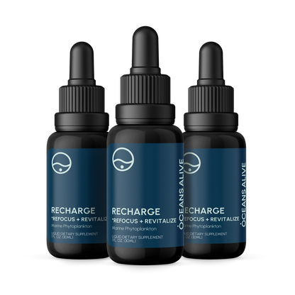 Oceans Alive® RECHARGE - formerly Raw Phytoplankton