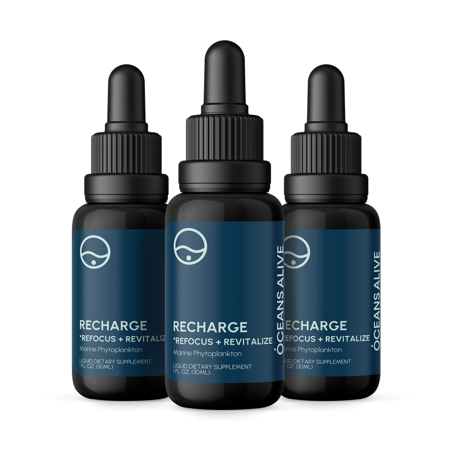 Oceans Alive® RECHARGE - formerly Raw Phytoplankton 🌎
