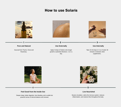 Perfect Longevity Bundle 🌎