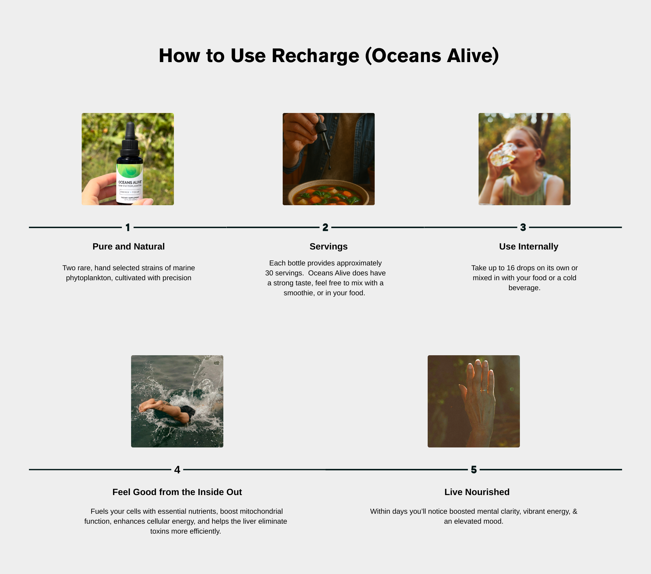 Oceans Alive® RECHARGE - formerly Raw Phytoplankton