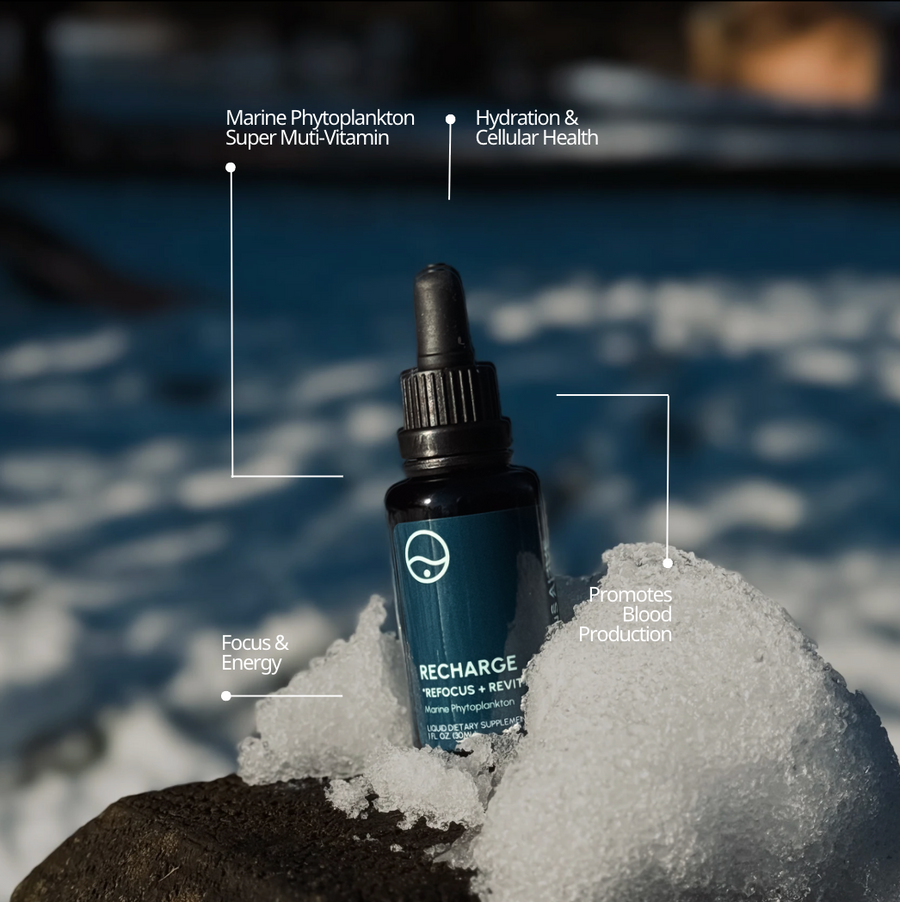 Oceans Alive® RECHARGE - formerly Raw Phytoplankton 🌎